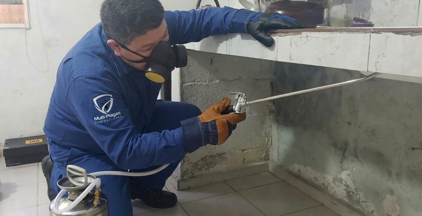 Fumigación y control de plagas en Uruguay — portada principal