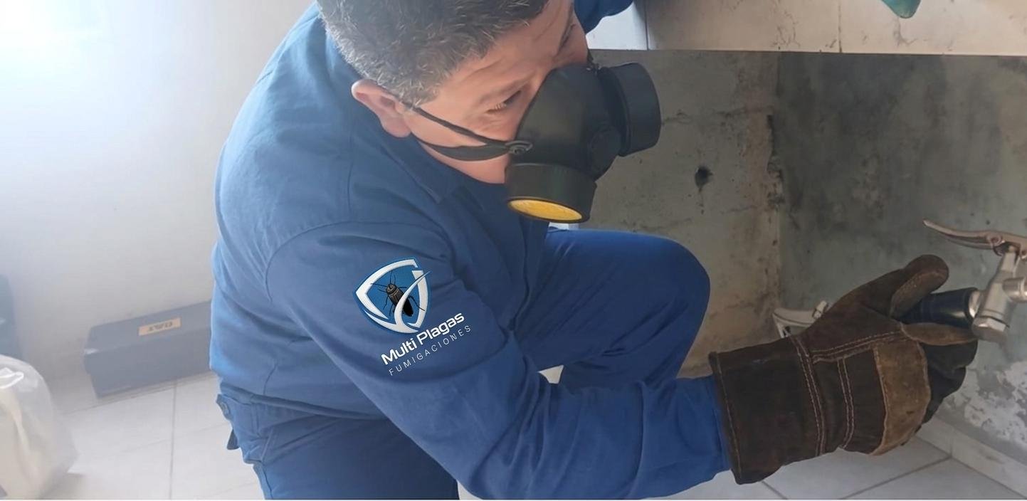 Servicio profesional de fumigación — equipo y tratamiento